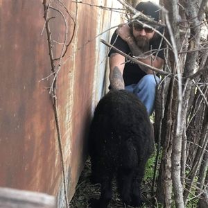 Meet your Posher, William h d